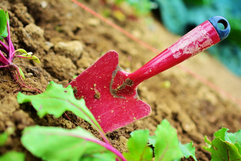 jardinerie-COTIGNAC-min_gardening-2448134